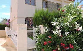 Doree 489